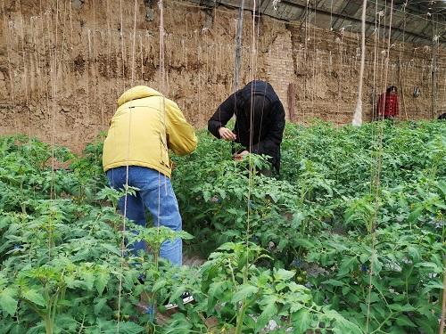 4307b166cae7438f8fddbb2ba003d81e.jpg 987dfae6ab3a237d2f6370da0b790423.jpg