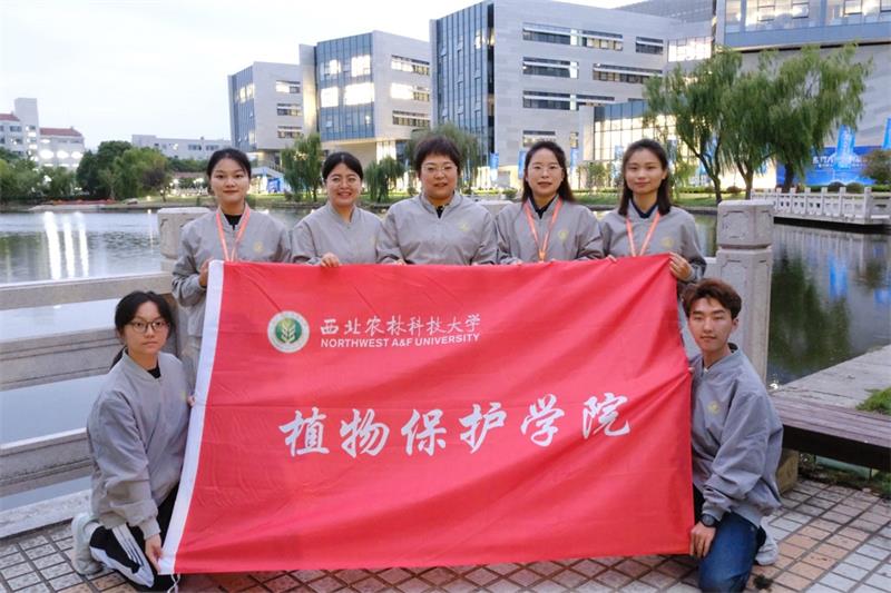 800av在线
在中国国际大学生创新大赛荣获金奖.jpg