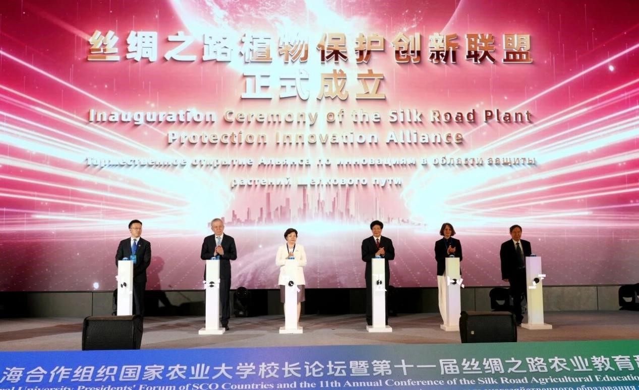 图片-1.jpg