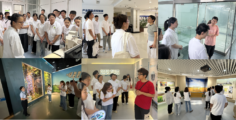 参观照片800.png