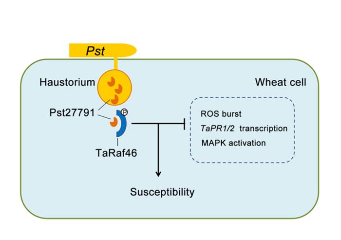 b673a11c48344d1a8ccd23a8c0cf3e9d.jpg 图片-700.jpg