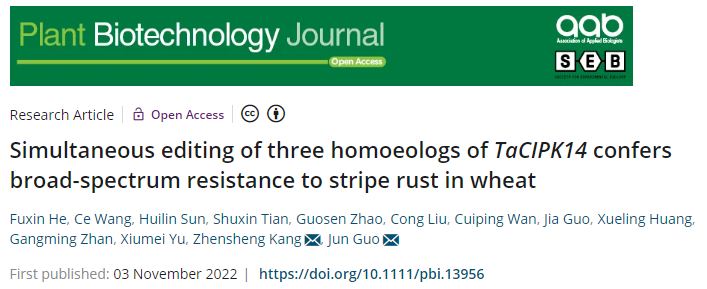 4d48c2255a6d4009b8deb8a89a53cb27.png 论文标题av在线图片.png