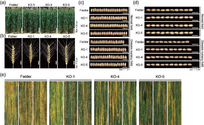 6403506277ef465aacaf6ab434944c99.jpg 图片2-700.jpg