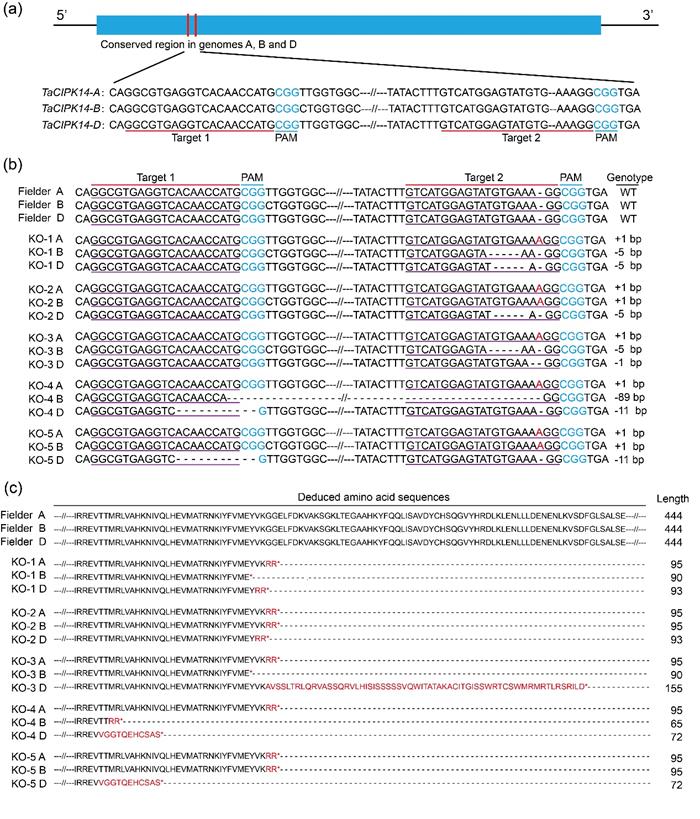 7fa0e058f61243679c9d044b610a4850.jpg 图片1-700.jpg