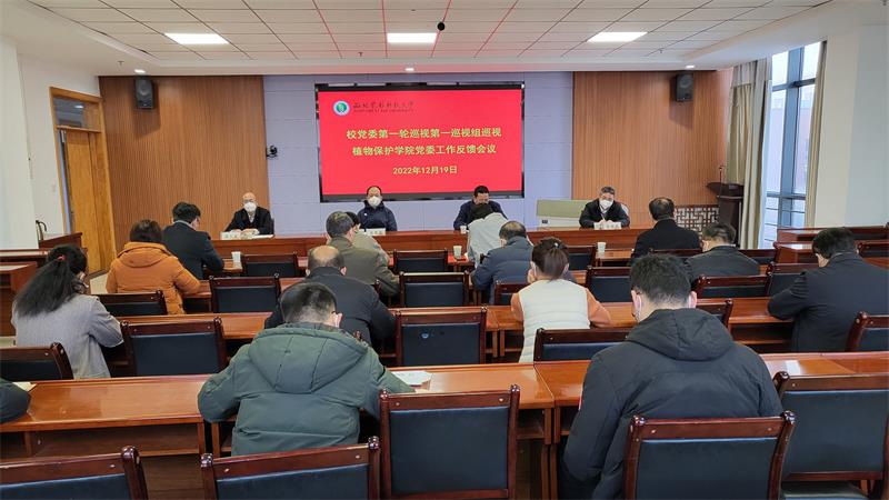 f1c1cd5605564d73aa2de937e7e0fcbd.jpg av在线
反馈会800.jpg