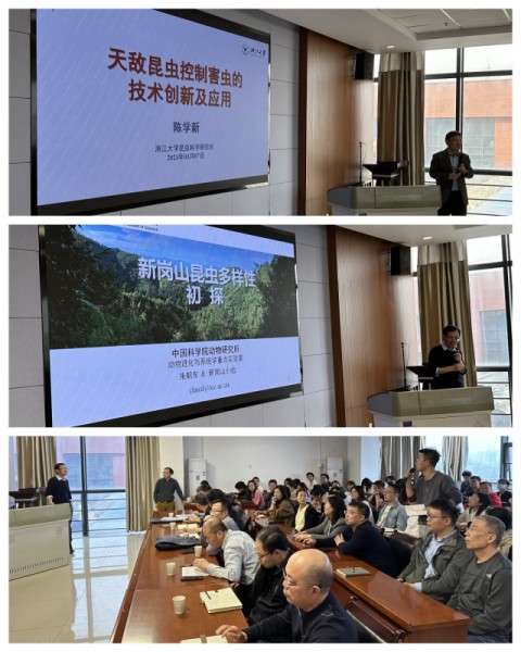 67bdf8f505624618a4dcb63103746d1f.jpg 学术报告会场_秀秀尺寸.jpg