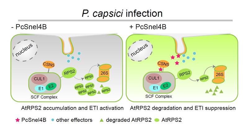 a83cb6dd999d403fa29d503978dcaac0.jpg 图片-800.jpg